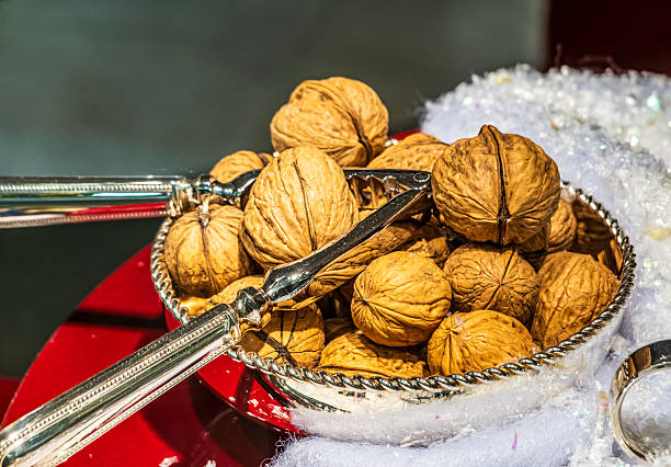 Nuts Shell . Pine Cone . Green Fir on White Background for Christmas Celebration