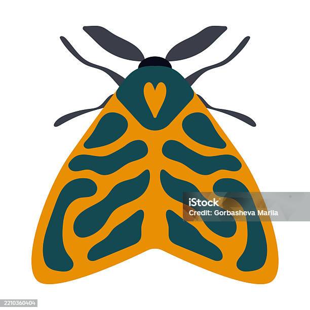 Moth Guide Vector Colorful Moth Isolated Vector Illustration The Artwork Is Symmetrical ...