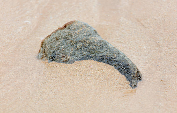 istock A rock is laying on the sand 2210364218