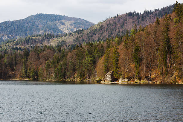 The calm, dark waters of Hechtsee reflect the surrounding forest and mountains under a muted, overcast sky in a serene natural landscape