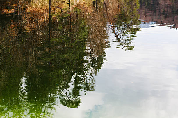 istock Trees and sky reflected on the rippled surface of Hechtsee 2210366891