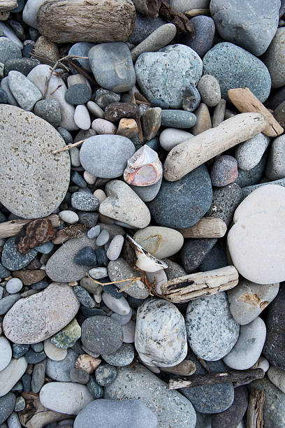 istock Seashell and pebbles on a beach, close up. Nature background. 2210372485