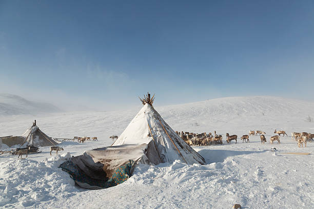 istock Nenets reindeer herders choom on a winter, Yamal, Russia 2210373365