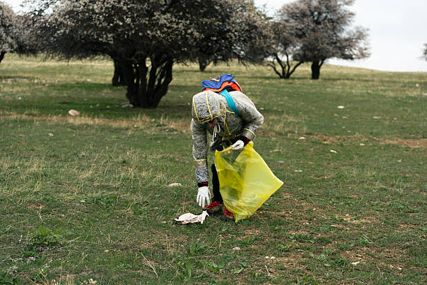 Volunteer collecting trash in nature, showing environmental awareness