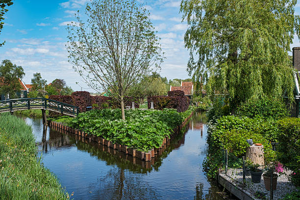 istock In the Zaanse Schans open-air museum 2210375176