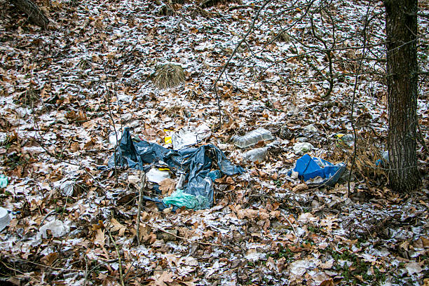 Garbage in the forest. Pollution of forests by humans. Concept of pollution of forests and nature by humans.