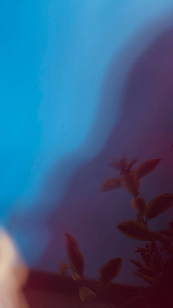 Abstract Floral Study with Blue and Purple Hues