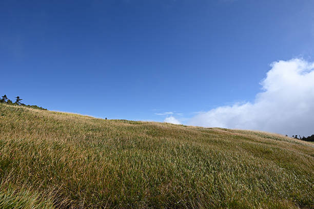 Great view of  mountain ridge of Mt. Naeba