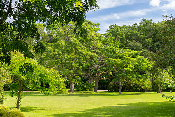 istock Lawn in Gothenburg Botanical garden 2210383071