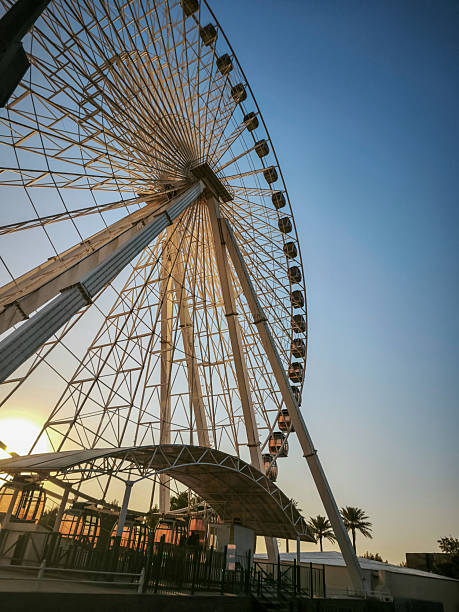 istock Ferris Wheel at Sunset with Palm Trees 2210384725
