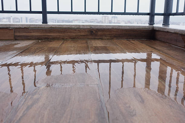 istock Wet Wooden Floor with Railings Overlooking Distant Landscape 2210386986