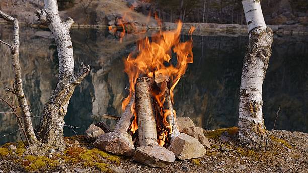 istock Crackling Campfire by the Lake 2210389109