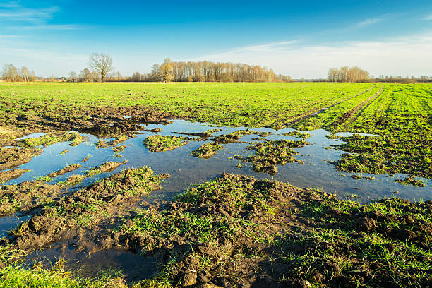 istock Flooded rural farmland 2210390334