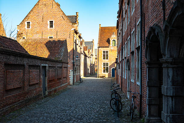 Copenhagen, Denmark - May 20th 2025:  This image captures a blonde woman in her 30s riding a bicycle through the vibrant streets of central Copenhagen. She appears focused on her journey, navigating the urban environment with ease. The background showcases the city's characteristic architecture, bike lanes, and bustling atmosphere, emphasizing Copenhagen’s reputation as a cyclist-friendly metropolis. The scene reflects the seamless integration of cycling into daily life, highlighting both practicality and sustainability in urban transportation.