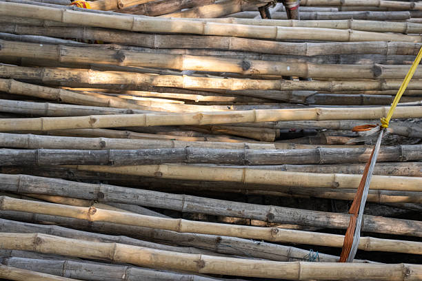 istock bundle of Bamboo sticks with light and shadow tied together 2210395477