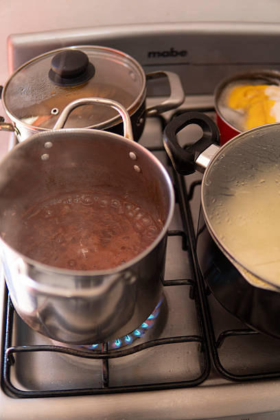 Pots simmering on a gas stove, cooking a variety of foods for a meal