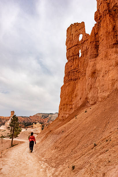 Bryce Canyon national park, Utah, USA.