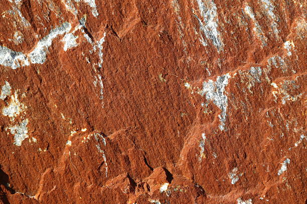 Intricate patterns emerge from a reddish rock surface, showcasing natural erosion and mineral deposits. Sunlight highlights the unique textures and colors in this geological formation.