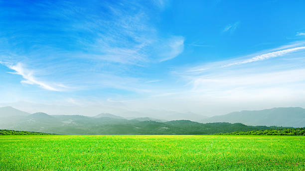 istock Summer landscape with green field, mountains and sky 2210406357