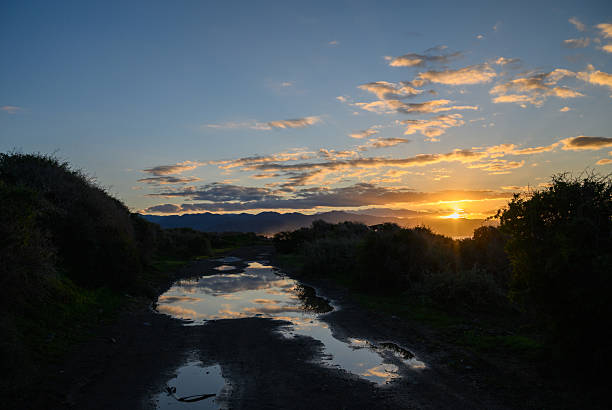 Golden hues blend with soft clouds as the sun dips below the horizon, casting reflections on a wet path surrounded by lush greenery. The tranquil atmosphere invites serenity.