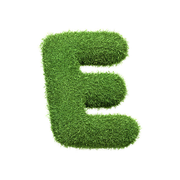istock Capital letter E shaped from lush green grass, isolated on a white background 2210412101