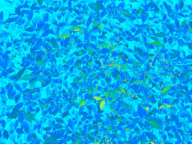 Psychedelic Abstract vivid art textured of leaf and flower patterns for visual and background.