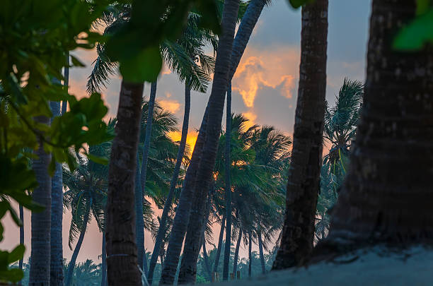 Sunrise on the Indian Ocean coast.