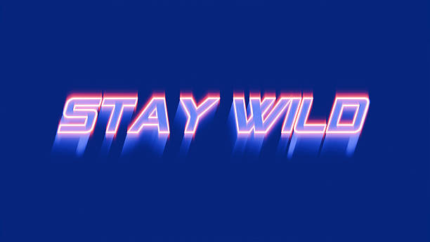 Text STAY WILD, on dark color background. 3d render illustration.