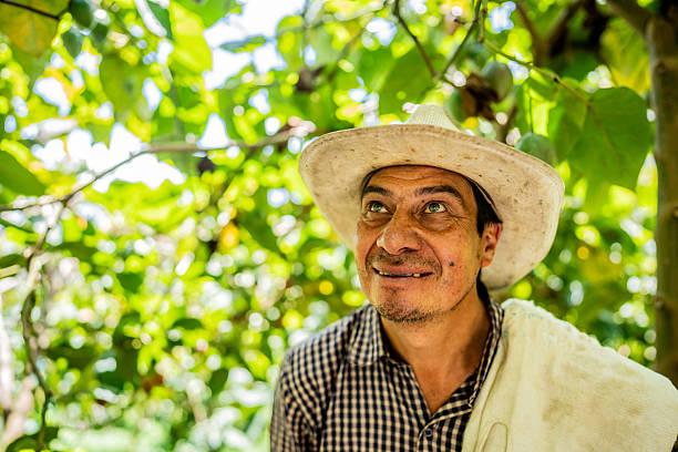 istock Farmer contemplating on a tomato farm 2210416246