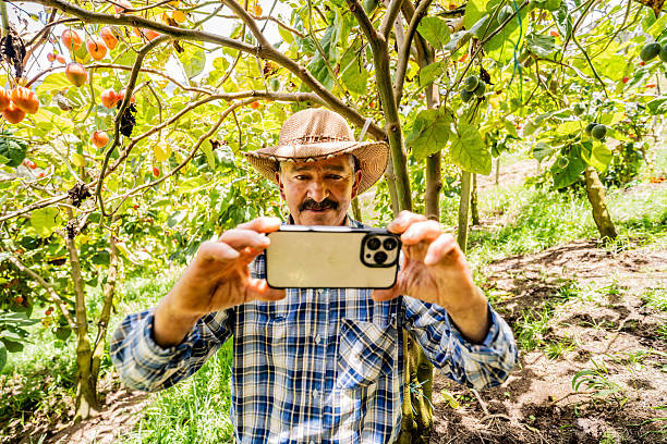 istock Senior farmer photographing using mobile phone on a farm 2210417232