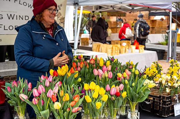Views of the Saturday Farmer's Market in Old Town Alexandria, Virginia, just outside of Washington, DC.  Street vendors offer a variety of fresh products to tourists and residents.