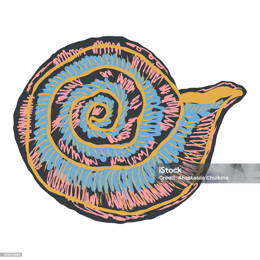 Shell In Stylized Technique Marine World Shell Texture Pencil Marker ...
