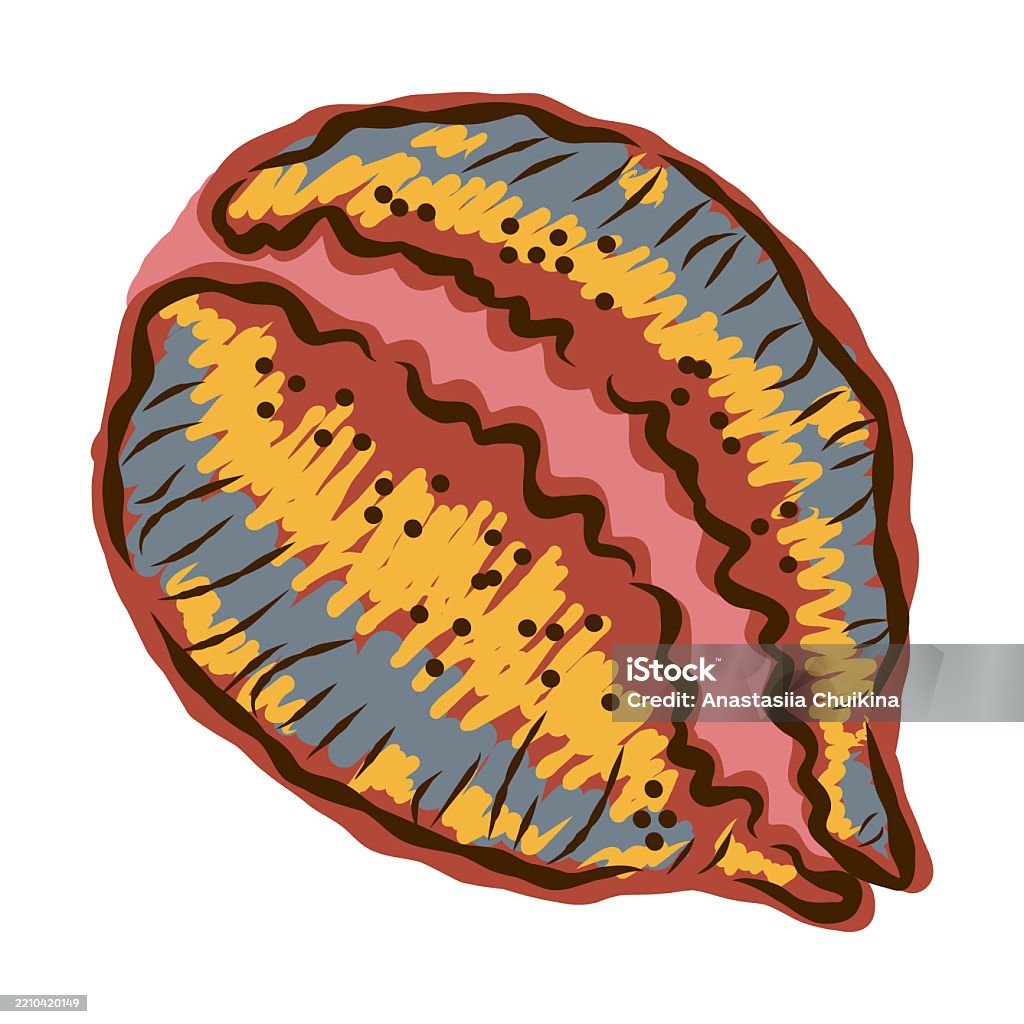 Shell In Stylized Technique Marine World Shell Texture Pencil Marker ...