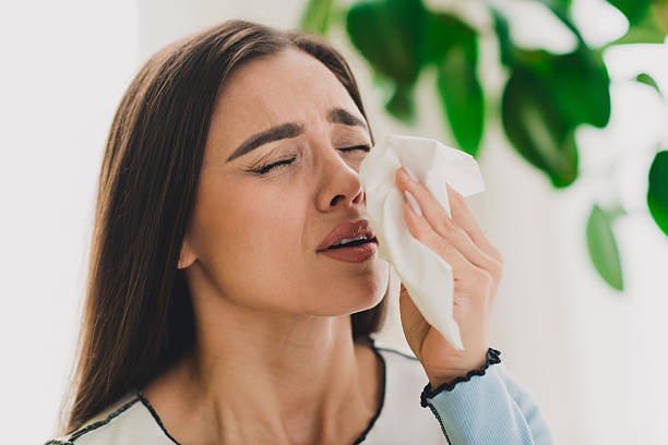 istock Young woman experiencing discomfort while sneezing indoors in a bright modern home environment 2210440228