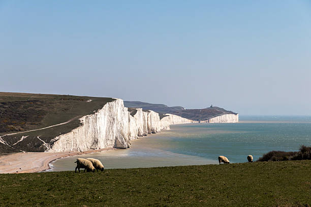 istock Seven Sisters Cliffs Sussex 2210444300