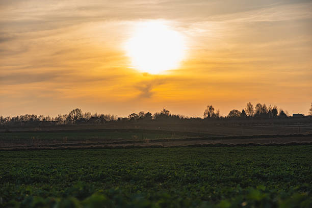istock Sunset over nearly empty fields at the beginning of spring 2210448281