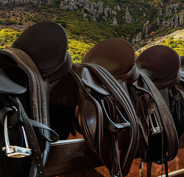 Leather Horse Saddles. The scene captures the essence of equestrian equipment preparation for riding activities.
