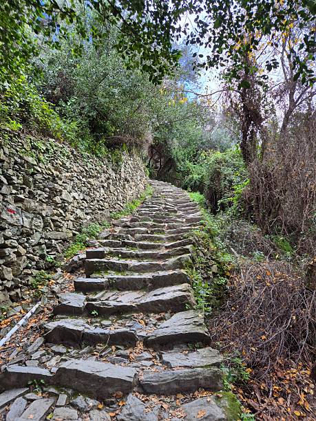 istock Uneven stone steps in the Cinque Terre ascend through a wooded trail lined with a rugged stone wall and dense greenery. 2210461010