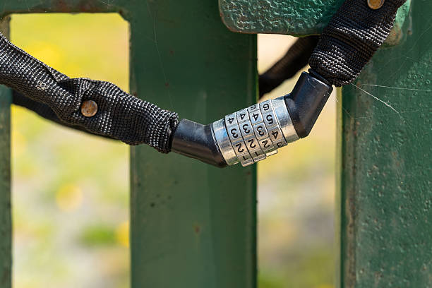 A detailed view reveals a combination lock fastened to a metal gate, surrounded by lush greenery, showcasing its robust mechanism and vibrant colors on a sunny day.