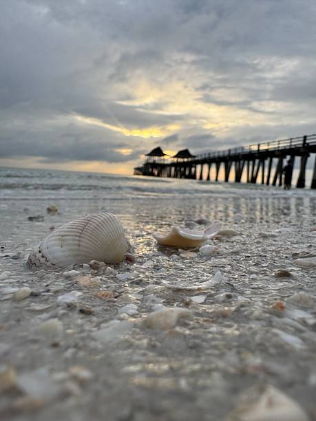 istock Sunset at Naples Beach, Florida 2210467069