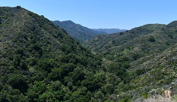 istock Topanga state park mountain view 2210473611