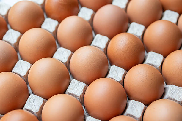 istock Fresh organic brown chicken eggs in cardboard tray 2210476856