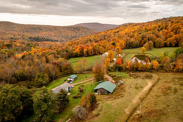 istock A New York Farm 2210477034