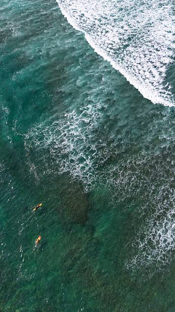 istock Crashing Waves and surfers in Hawaii 2210488516