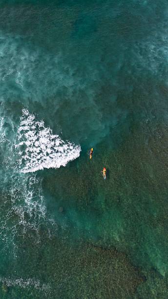 istock Crashing Waves and surfers in Hawaii 2210488520