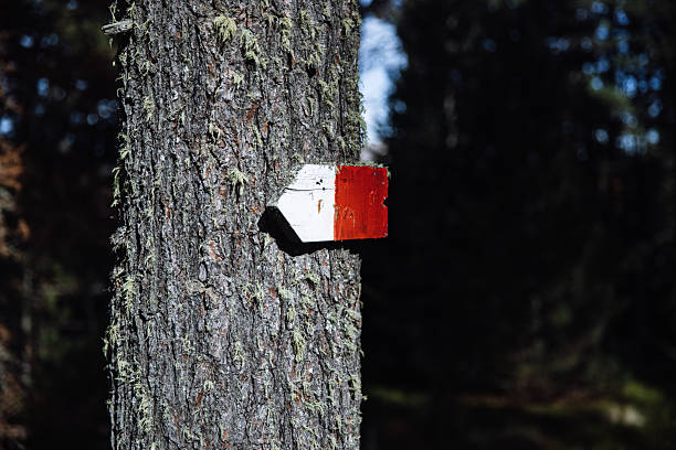 Red and white trail marker on tree in South Tyrol forest in Villanders, Trentino-South Tyrol, Italy