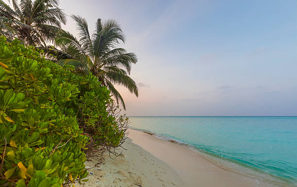 istock Indian Ocean coast in the Maldives 2210489372