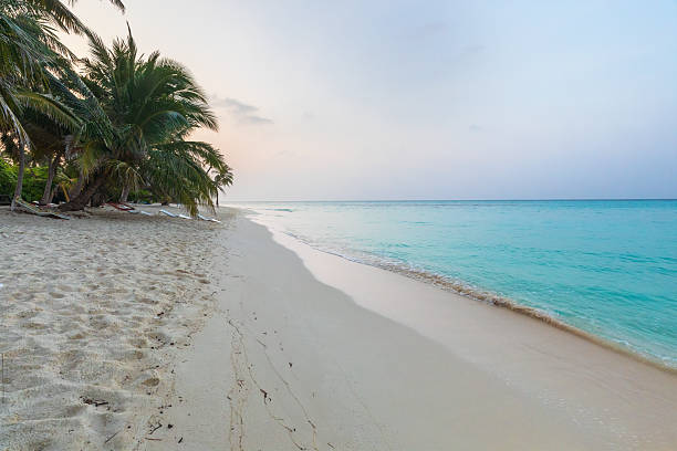 istock Indian Ocean coast in the Maldives 2210489376
