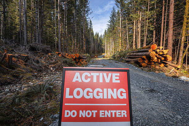 istock Logging Industry On Vancouver Island 2210492670