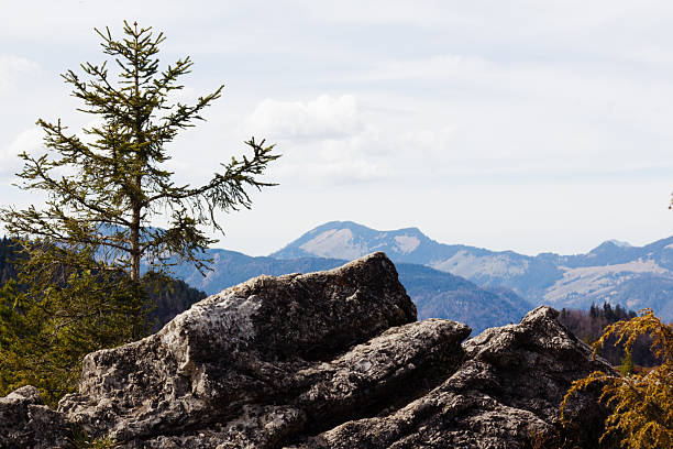 A scenic mountain vista in Tyrol, Austria, features rugged rocks and coniferous trees under a partly cloudy sky, showcasing the natural beauty of the Alps